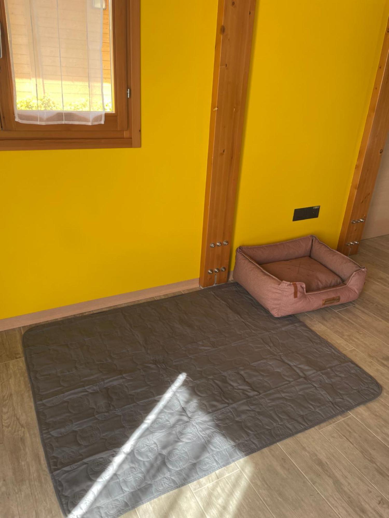 Colleolivi Apartment Serra de' Conti Ngoại thất bức ảnh